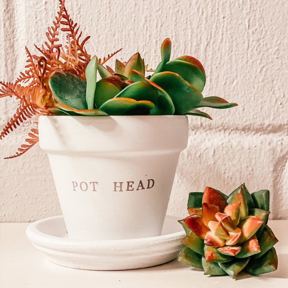 Handmade Plant Pot - POT HEAD